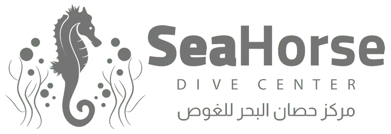 aqabaseahorsedive